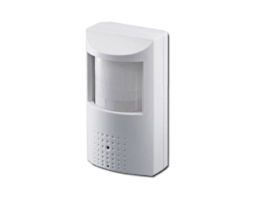 Hidden IP Cameras